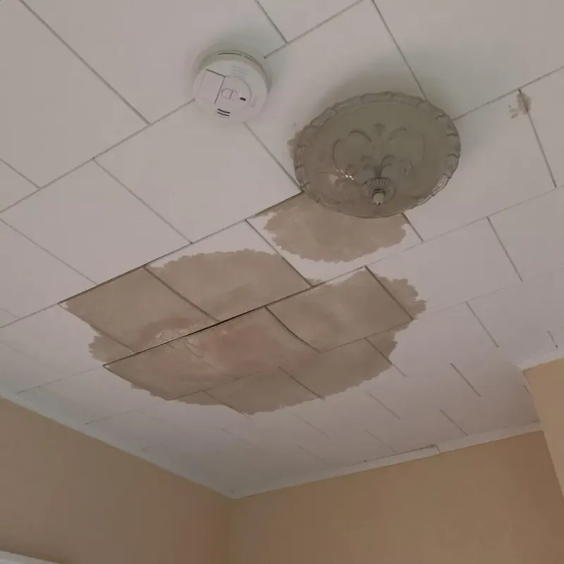 Ceiling Water Damage Repair in Groveport, OH