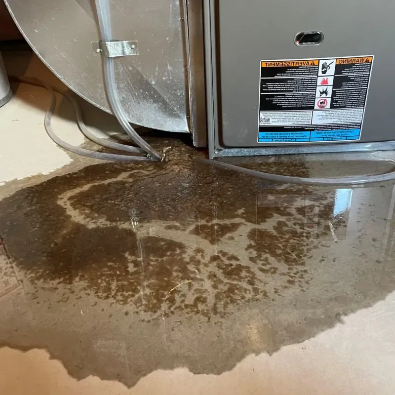 Pipe Burst and Leak Restoration in Groveport, OH